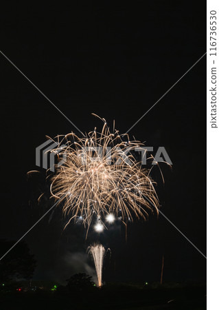 著色夏夜天空的煙花 著色夏夜天空的煙花 116736530