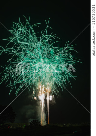 著色夏夜天空的煙花 116736531