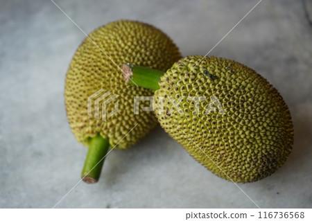 RAW TINY JACKFRUIT 116736568