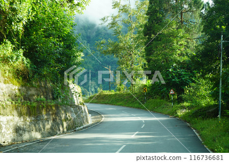 Road and Greenery Nature of Himalayan Range Village 2 116736681