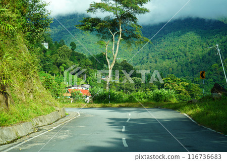 Road and Greenery Nature of Himalayan Range Village 4 Road and Greenery Nature of Himalayan Range Village 4 116736683