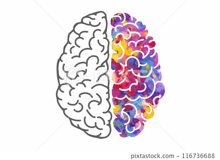 Watercolor brain, left and right hemispheres. Vector illustration 116736688