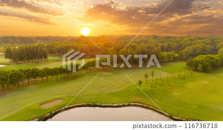 Tranquil golf course at sunrise with lush greenery and serene pond in peaceful morning light 116736718
