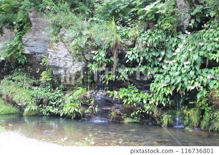 Sanbashiki Gorge Spring Water 116736801