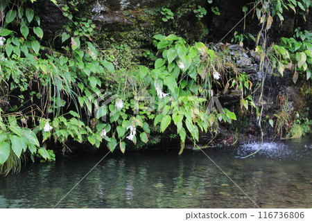 三壘峽泉水 116736806