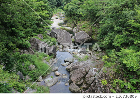 三橋峽清澈的溪流 三橋峽清澈的溪流 116736809