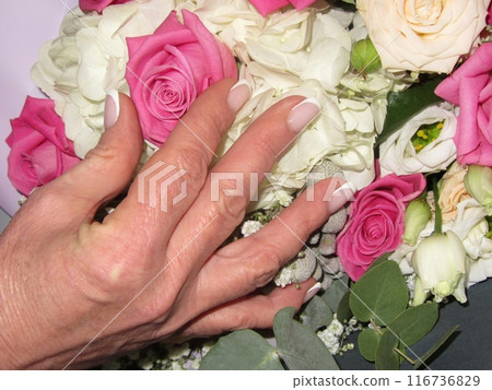A womans hand with a French manicure touches a bouquet of flowers 116736829