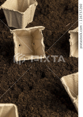 square containers for seedlings in agriculture 116737260