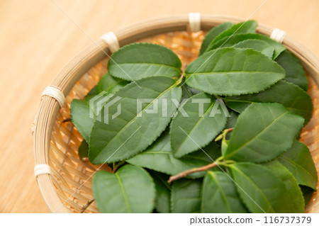 綠茶葉 綠茶葉 116737379