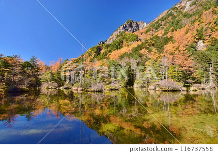 Kamikochi, Myojin Pond on the autumn leaves 116737558