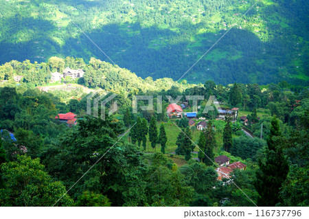 Local offbeat Village in Kalimpong of North Bengal, Sillery Gaon Local offbeat Village in Kalimpong of North Bengal, Sillery Gaon 116737796