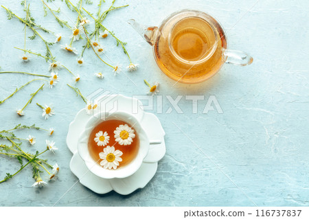 Chamomile flower tea. A tea cup and a tea pot with fresh medicinal flowers Chamomile flower tea. A tea cup and a tea pot with fresh medicinal flowers 116737837