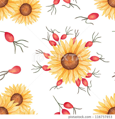 Sunflower with rose hips seamless pattern. Watercolor illustration. Autumn botanical background with flowers and berries. Hand drawn isolated art. Wallpaper for seasonal projects Thanksgiving. 116737853