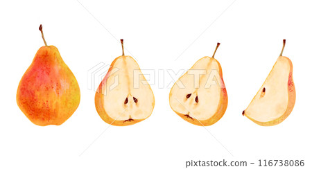 Set of yellow pears. Whole, halves and pieces of fruit. Botanical watercolor illustration. Pictures of fruits from a tree. Hand drawn isolated clipart. Vegetarian products. Organic food sketch. Set of yellow pears. Whole, halves and pieces of fruit. Botanical watercolor illustration. Pictures of fruits from a tree. Hand drawn isolated clipart. Vegetarian products. Organic food sketch. 116738086