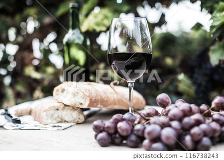 Glass of wine and ripe grapes in the vineyard Glass of wine and ripe grapes in the vineyard 116738243