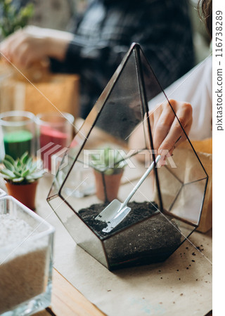 DIY florarium concept. Skilled florist woman pouring soil in glass geometric shape vase, creating botany art composition with mini plants, working at her own greenhouse 116738289