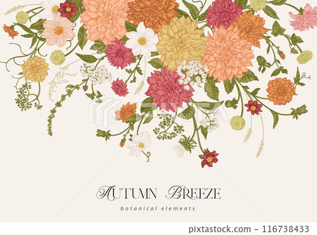 Botanical card. Autumn and summer garden flowers. Dahlias, asters, dogwood berries, spikelets. Colorful. Vintage blooming background. Horizontal composition. 116738433