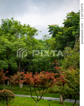 A City Park beside Yangtze river, mountain ridgeline vaguely visible in the mist. A City Park beside Yangtze river, mountain ridgeline vaguely visible in the mist. 116738470