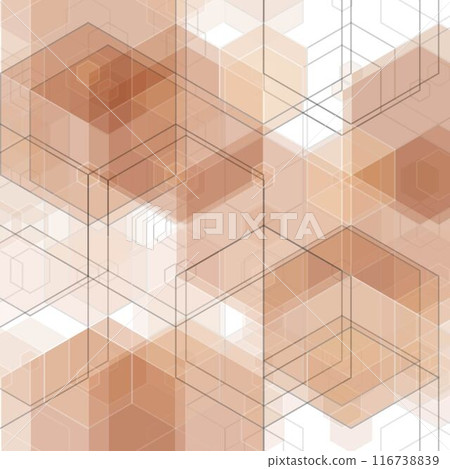 hexagon background in polygonal style. Vector template for presentations, advertisements, brochures, banners and more. eps 10 116738839