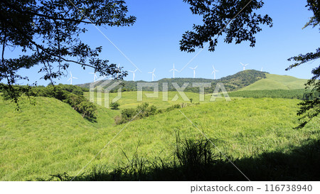 A photo of a windmill standing in a meadow under a clear blue sky A photo of a windmill standing in a meadow under a clear blue sky 116738940