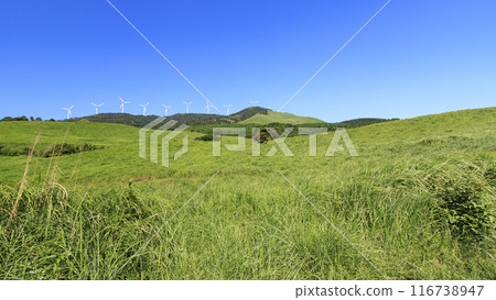 拍攝風景，風車矗立在蔚藍的天空下的草地上 116738947