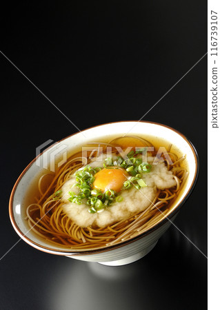 Tsukimi Tororo Soba photographed against a black background 116739107