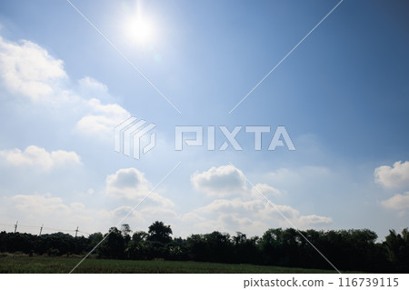 Blue sky and cloud for background. Blue sky and cloud for background. 116739115