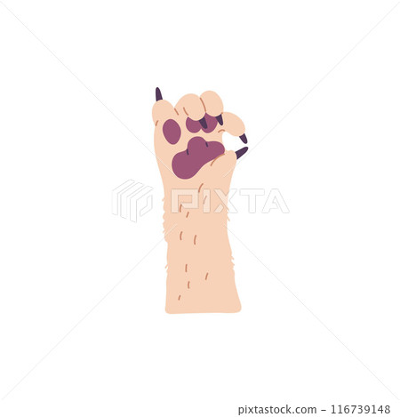 Vector illustration with a fluffy white paw of a puppy with the ok gesture 116739148