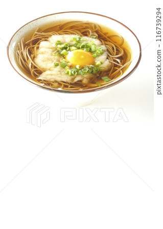 Tsukimi Tororo Soba photographed on a white background 116739294