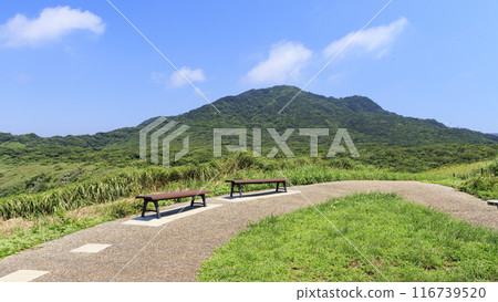 石崎的夏天 116739520