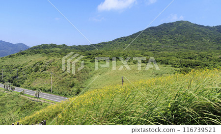石崎的夏天 石崎的夏天 116739521