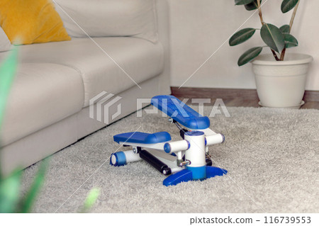 Home fitness trainer stepper. Jam with sports at home in the interior, on the carpet. For weight loss and a beautiful figure Home fitness trainer stepper. Jam with sports at home in the interior, on the carpet. For weight loss and a beautiful figure 116739553