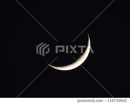 lunar, moon, celestial bodies 116739602