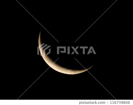 lunar, moon, celestial bodies 116739608