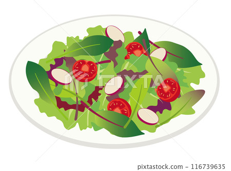 西餐_義大利菜_沙拉（蔬菜）不加調味料 116739635