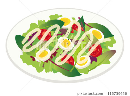 西餐_義大利菜_沙拉（蔬菜） 116739636