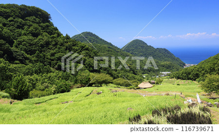 Rural landscape with a fruitful autumn Rural landscape with a fruitful autumn 116739671