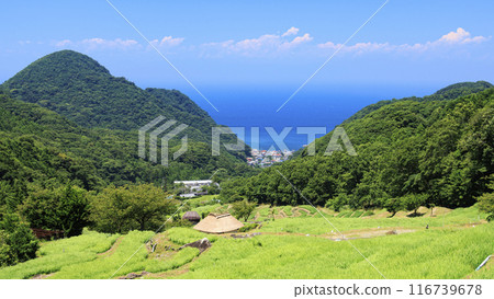 Rural landscape with a fruitful autumn Rural landscape with a fruitful autumn 116739678