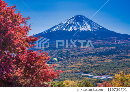 (山梨縣)紅葉台、鳴澤村、富士山的紅葉 (山梨縣)紅葉台、鳴澤村、富士山的紅葉 116739701