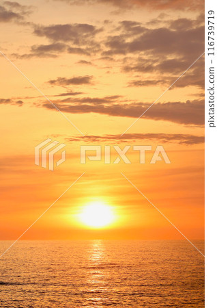 朝日 7月下旬 茨城縣日立市 朝日 7月下旬 茨城縣日立市 116739719