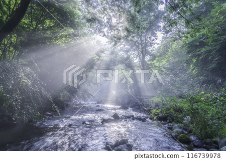 A beam of light shining on the underground waters of Mount Fuji from Fujinomiya City 116739978