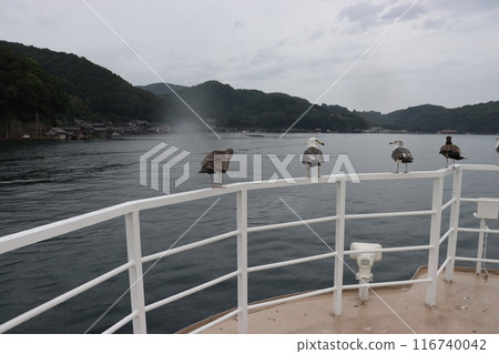 嘿，海鷗想著該怎麼辦，然後就飛走了。 116740042