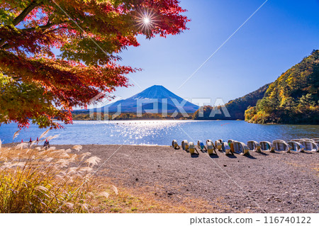 [Yamanashi Prefecture] Bright red autumn leaves of maples along Lake Shojiko and Mount Fuji 116740122
