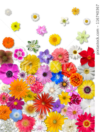 色彩繽紛的漸層充滿花朵 116740367