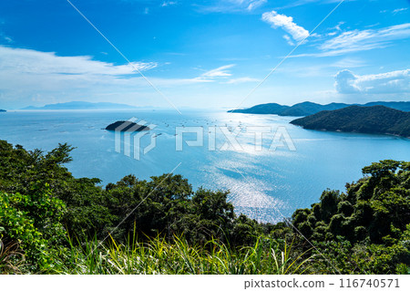 Scenery from Cape Manyo in early autumn: Ako Misaki and oyster rafts 1, Aioi City, Hyogo Prefecture 116740571