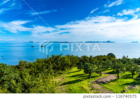 Scenery from Manyo Cape in early autumn: Camellia Garden and Ieshima Islands 1, Aioi City, Hyogo Prefecture Scenery from Manyo Cape in early autumn: Camellia Garden and Ieshima Islands 1, Aioi City, Hyogo Prefecture 116740575