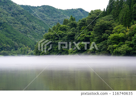 河面上形成的夏季河霧 116740635