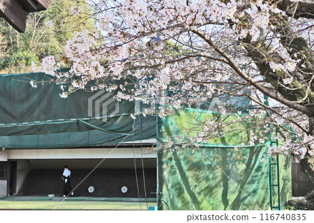 大分縣日田市大原運動場旁的日田市弓道館 大分縣日田市大原運動場旁的日田市弓道館 116740835
