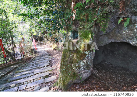 大分縣日田市月熊公園內的水平墳墓群。 116740926