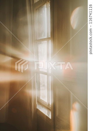 Sunlight Filtering Through Sheer White Curtains in a Serene Minimalist Room 116741116